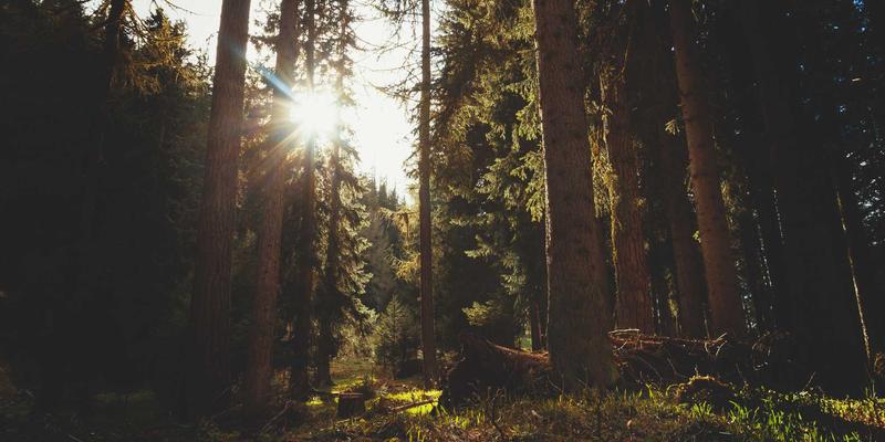 5G专网部署策略：赋能企业数字化转型的高可靠、低时延网络技术