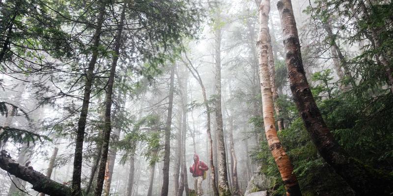 MPLS与SRv6技术深度对比：网络升级的资源分享与迁移路径指南