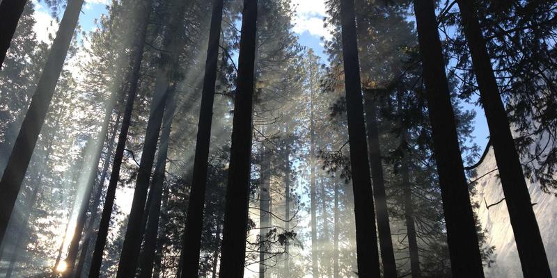 时间敏感网络（TSN）：重塑工业互联网与自动驾驶未来的关键网络技术