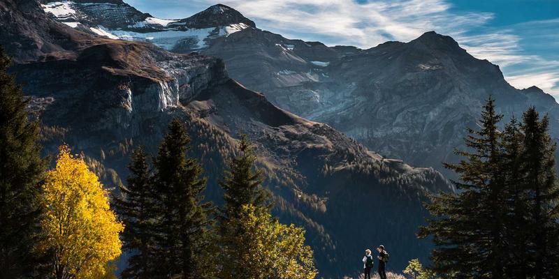 智能运维（AIOps）如何重塑数码生活：网络性能管理与故障预测实战指南