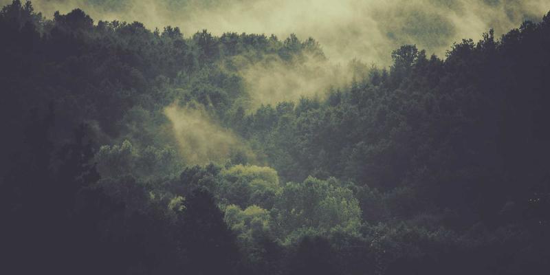 网络技术34：IT资讯与资源分享如何塑造现代技术生态