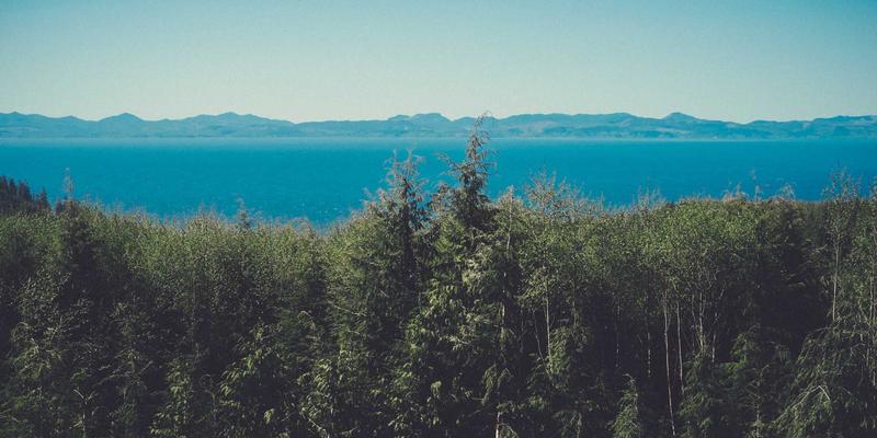 网络技术36：解码数码生活新范式，软件下载的智能进化