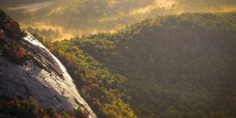 网络技术58：一站式软件下载、资源分享与技术教程平台深度解析