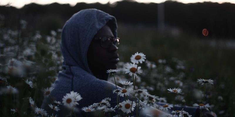 网络技术76：从软件下载到精通应用的全方位技术教程指南