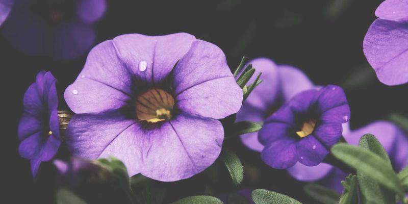 超融合网络设计如何决定虚拟化性能？关键影响与优化资源分享